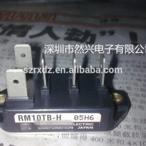 Модуль RM10TB-H